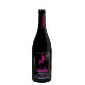 Domaine Salamander Pinot Noir 2015