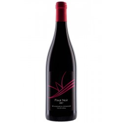 Wijndomein Stokhem Pinot Noir 2023 Cherie