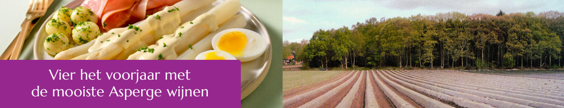 Vier het voorjaar met de mooiste Asperge wijnen